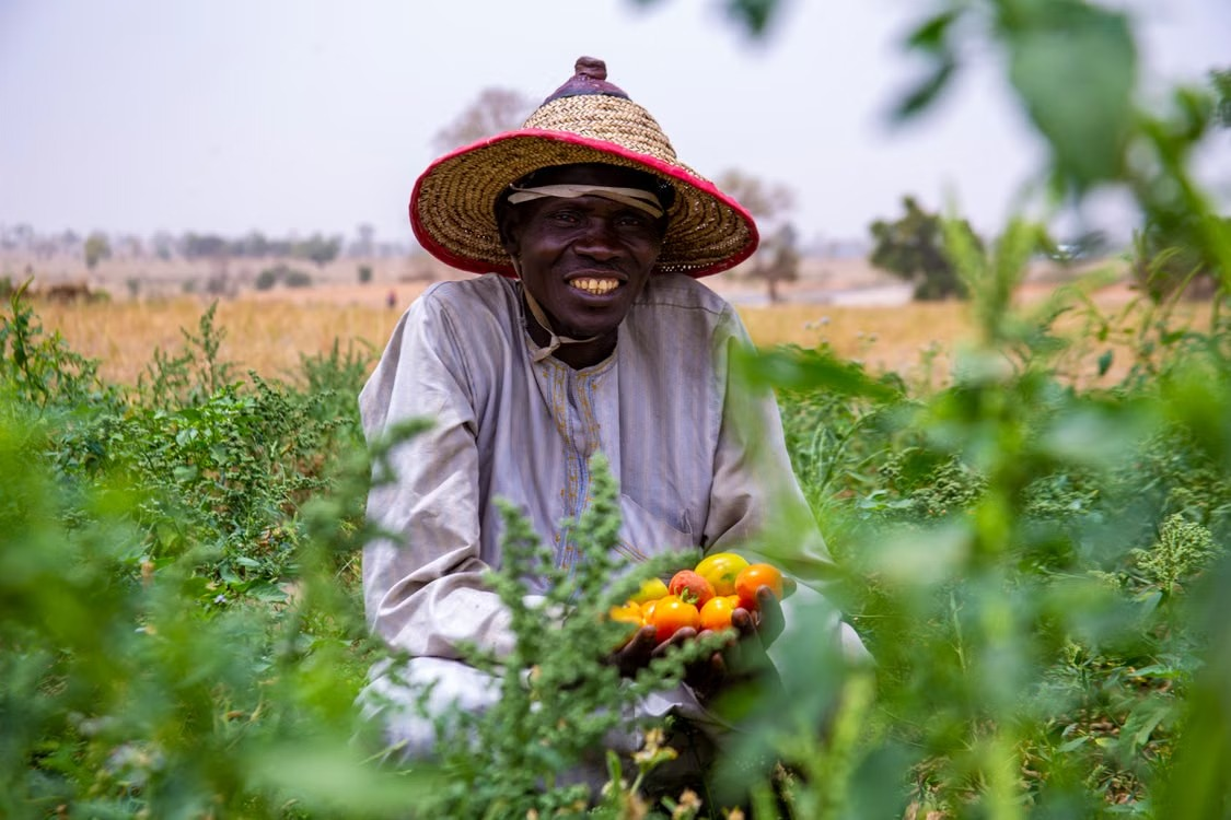 Agriculteur sénégalais avec ses tomates